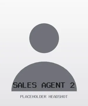 Sales Agent 2